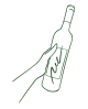 botella