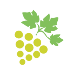 iconos-verdejo-250x250
