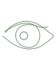 ojo