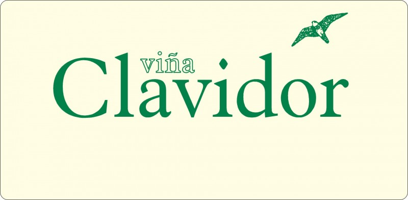 Logo de Bodegas Vidal Soblechero, S.L.